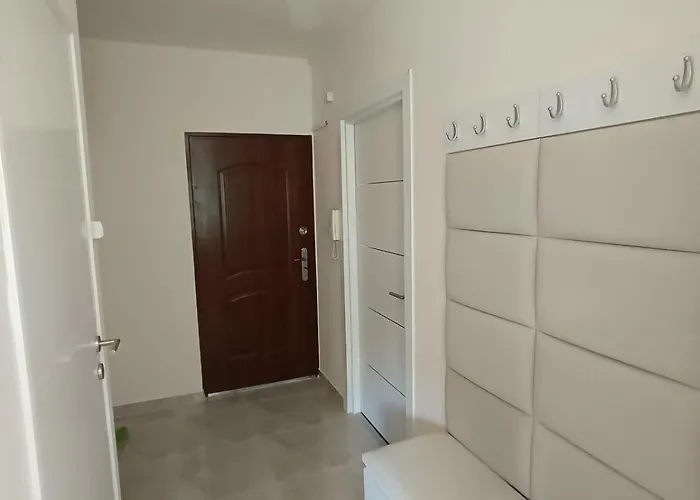Hidfo